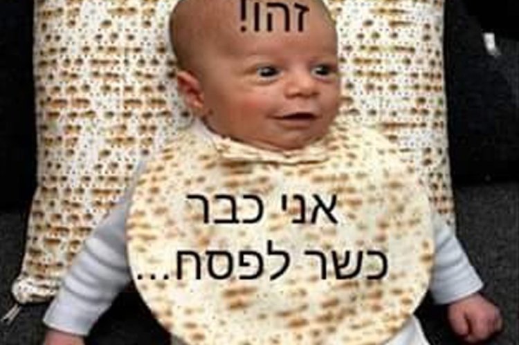 Image result for ממים יהודים