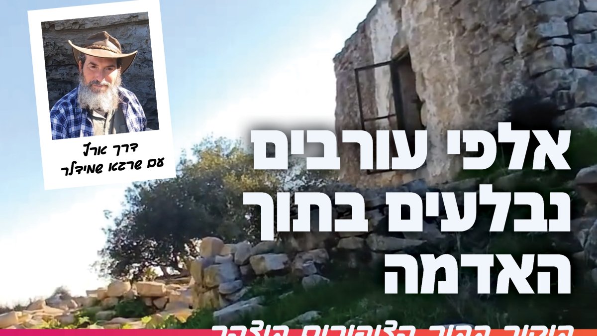 אלפי עורבים נבלעים בתוך האדמה: ביקור בבור הציפורים ביצהר - הידברות