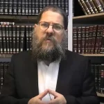 הרב שניאור אשכנזי