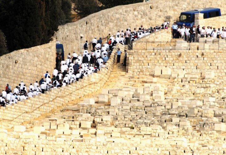 (צילום אילוסטרציה: shutterstock)