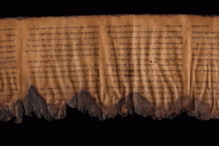 התעודה העתיקה (צילום מסך)