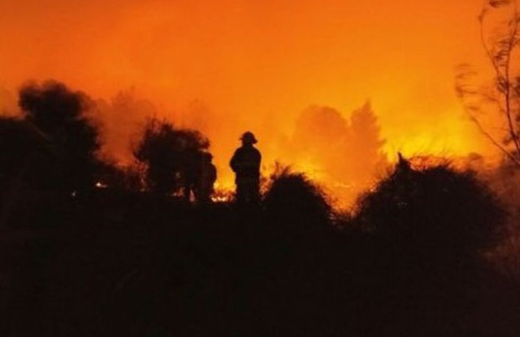 השריפה בלטרון (צילום: דוברות כבאות והצלה ירושלים)