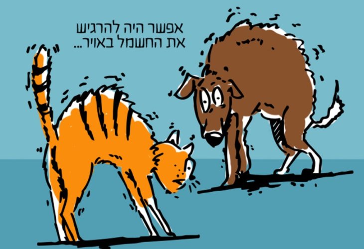 (איור: הרב עמית יעקוביצקי)