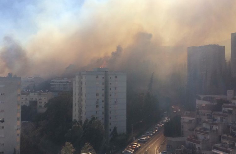 שריפה בחיפה (צילום: שמואל ברזילי)