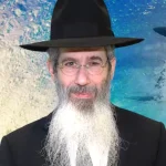 Rabbi Dovid Goldwasser Rabbi Dovid Goldwasser