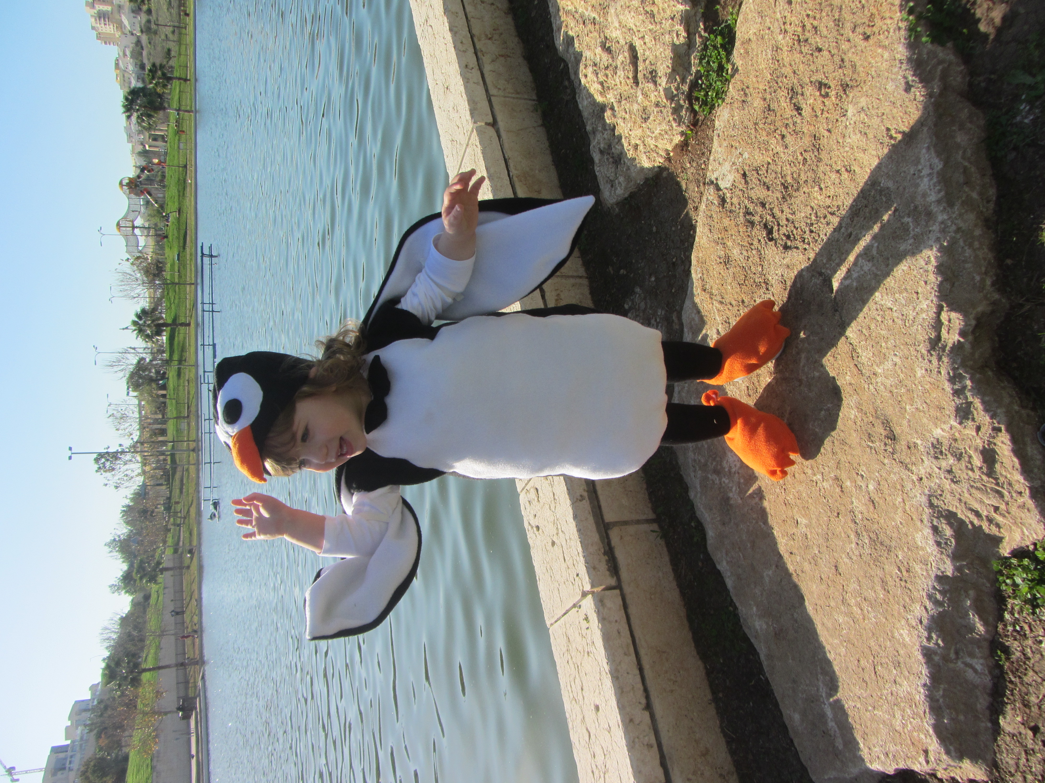 מאיר מלכא בן השנתיים, התחפש לפינגווין מעשה ידי אימו 