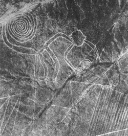 צילום אווירי של שרטוט קוף מ־1953 צולמה באמצעות ראשוני הארכאולוגים שהחלו לחקור את קווי הנסקה