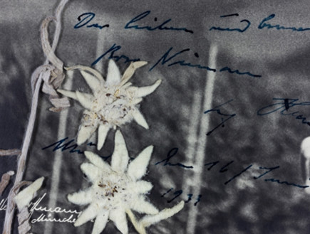 ההקדשה בכתב ידו של היטלר על התמונה (צילום: Alexander Historical Auctions(