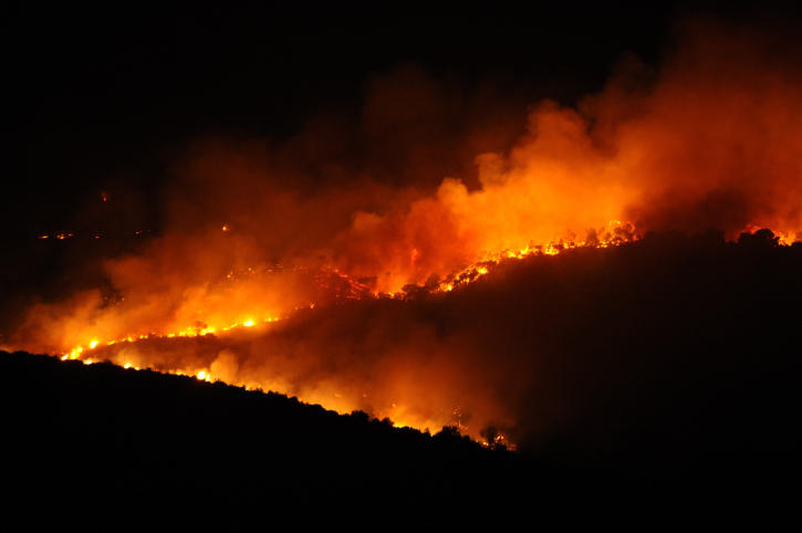 השריפה בכרמל, 2.12.2010 (צילום: גילי יערי / פלאש 90