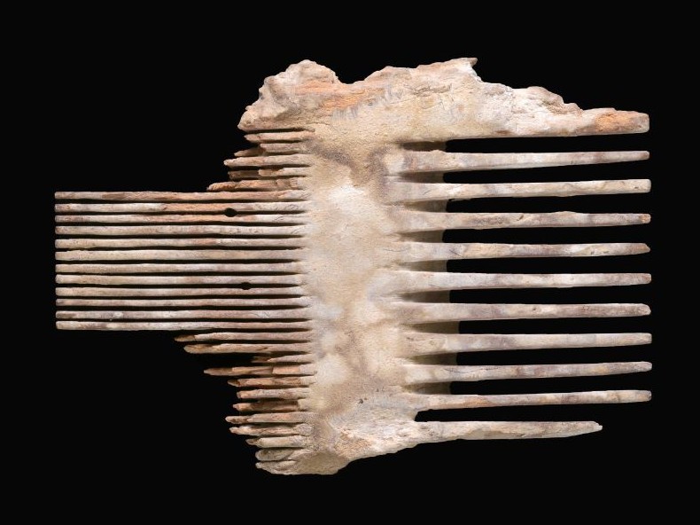 מסרק כינים בן כ-2,000 שנה שנחשף במהלך המבצע (צילום: קלרה עמית, רשות העתיקות)