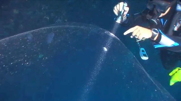 Divers attempt to decipher the mysterious bubble using flashlight beams