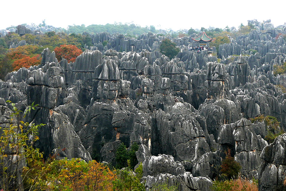 יער האבן, סין
