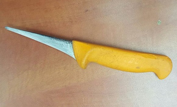 הסכין שנתפסה (צילום: דוברות משטרת ישראל)