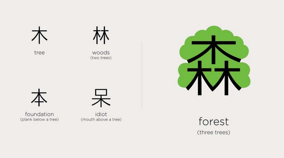 יער, עצים ושאר משפחת הטבע בסינית