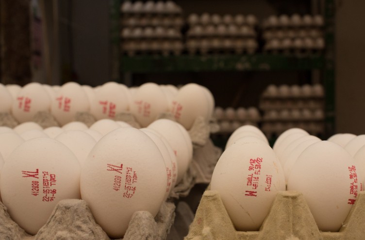 ביצים (צילום: Sarah Schuman / פלאש 90)