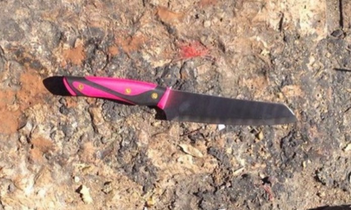הסכין (צילום: דובר המשטרה)