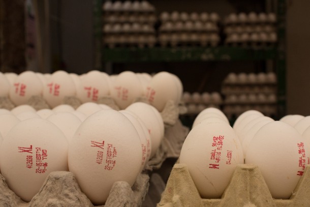 ביצים (צילום: Sarah Schuman/ פלאש 90)
