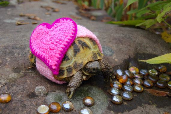 איזה כיף שמישהו אוהב אותך אפילו שאתה היצור הכי אטי והכי נוקשה בעולם?