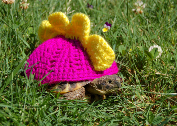 פונץ' בננה הוא הצבע האהוב עליי