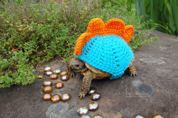 "הפורים הזה החלטתי להתחפש לדרקון ויהי מה"