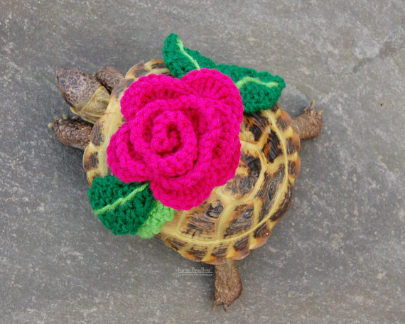 משלוח פרחים לאשתי, לכבוד שבת. מעניין מתי יגיע...