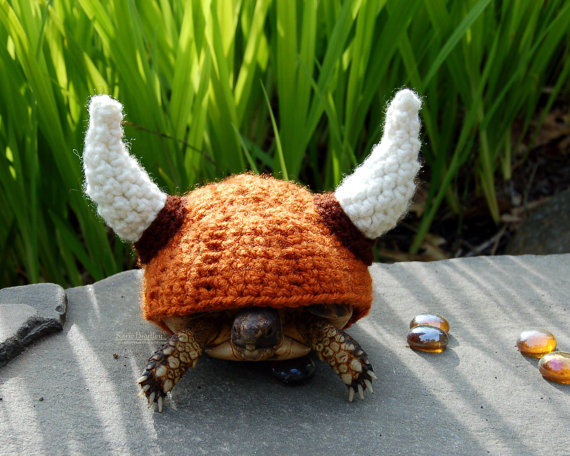 רק רגע אחד - אף אחד לא דיבר על קרב שוורים. אני הולך מפה. 