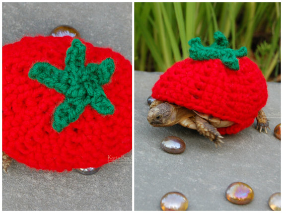 אני מר עגבניה