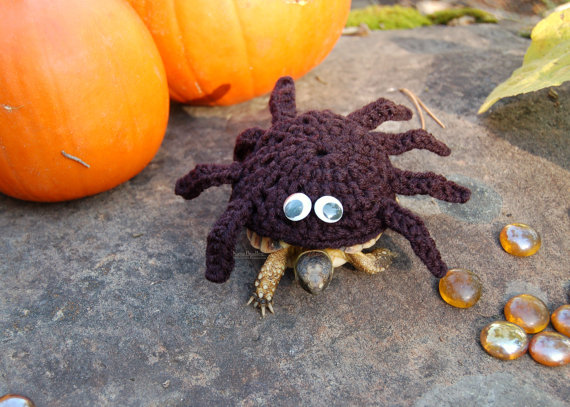 כשהעכביש מחליט להיות 'עלוקה'