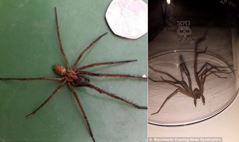 Image credit: Manchester News