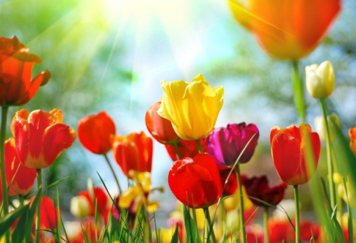 (Photo: shutterstock) (Photo: shutterstock)