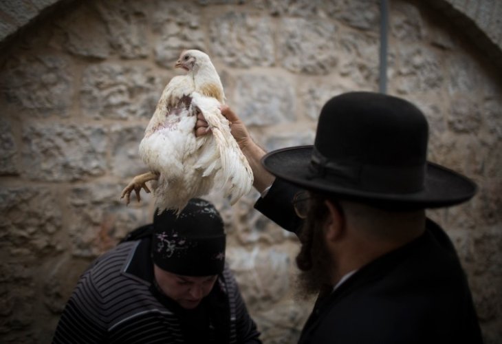 (צילום: פלאש 90)