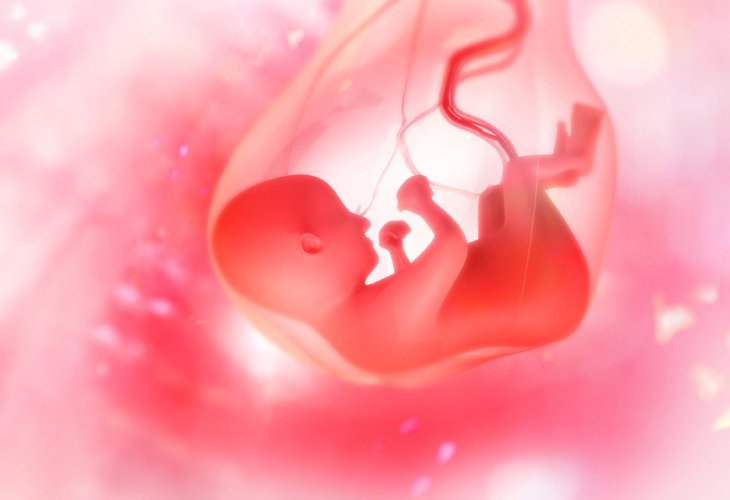 (Photo: shutterstock) (Photo: shutterstock)