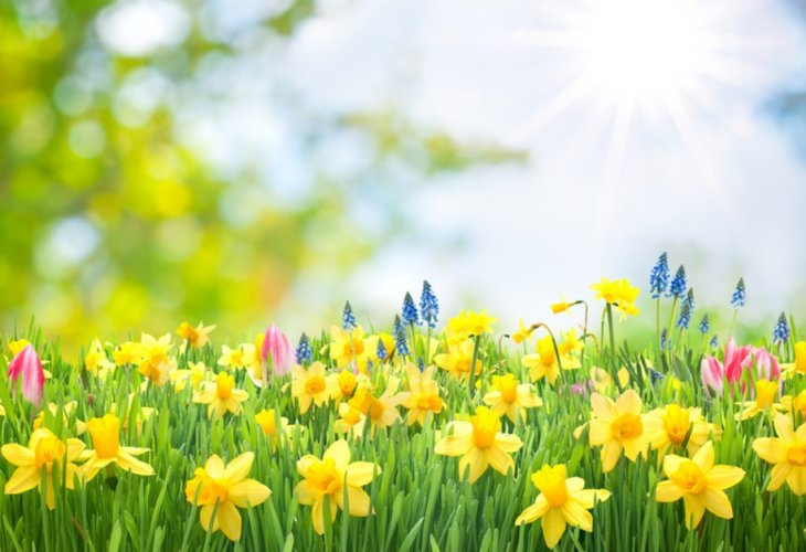 (Photo: shutterstock) (Photo: shutterstock)