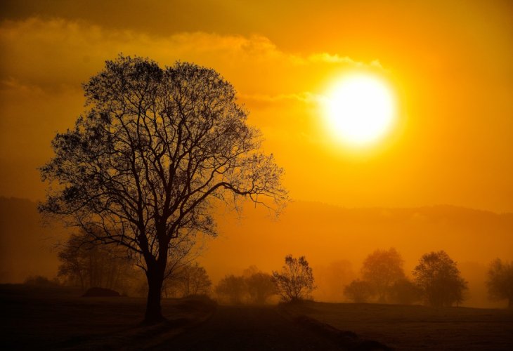 (Photo: shutterstock) (Photo: shutterstock)