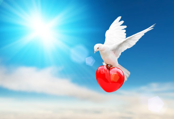 (Photo: shutterstock) (Photo: shutterstock)