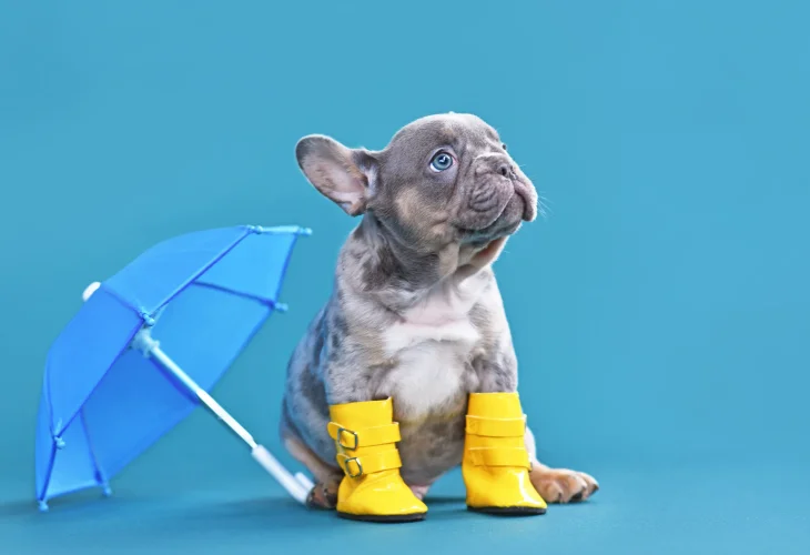 (Photo: shutterstock)