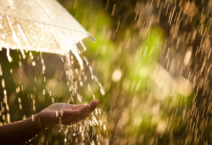 (Photo: shutterstock)