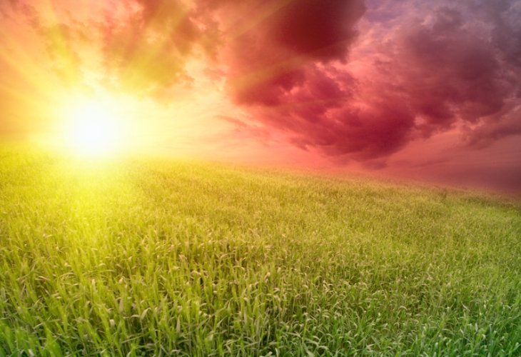 (Photo: shutterstock)