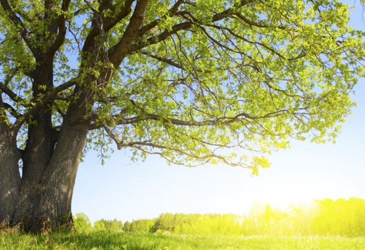 (Photo: shutterstock) (Photo: shutterstock)