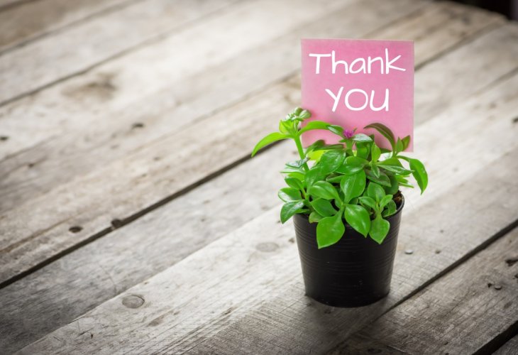 (Photo: shutterstock) (Photo: shutterstock)
