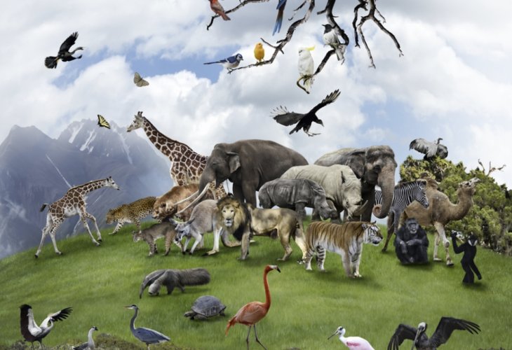 (Photo: shutterstock) (Photo: shutterstock)