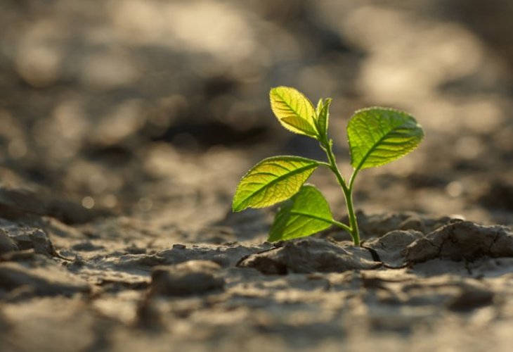 (Photo: Shutterstock) (Photo: Shutterstock)