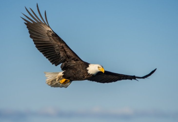 (Photo: Shutterstock) (Photo: Shutterstock)