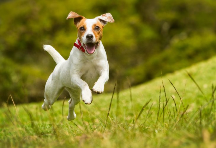 (Photo: shutterstock) (Photo: shutterstock)