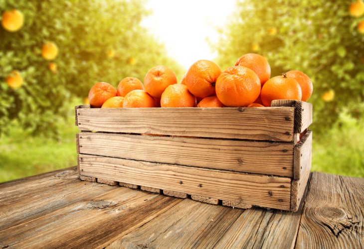 (Photo: shutterstock) (Photo: shutterstock)