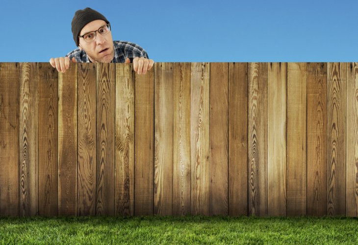 (Photo: Shutterstock)