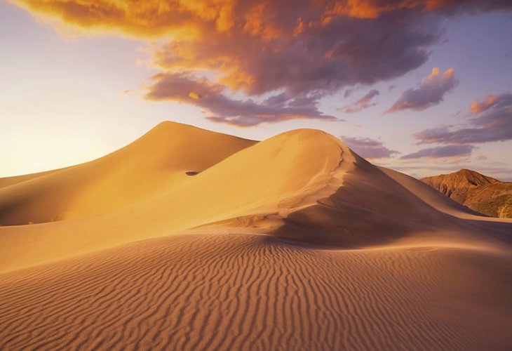 (Photo: shutterstock)