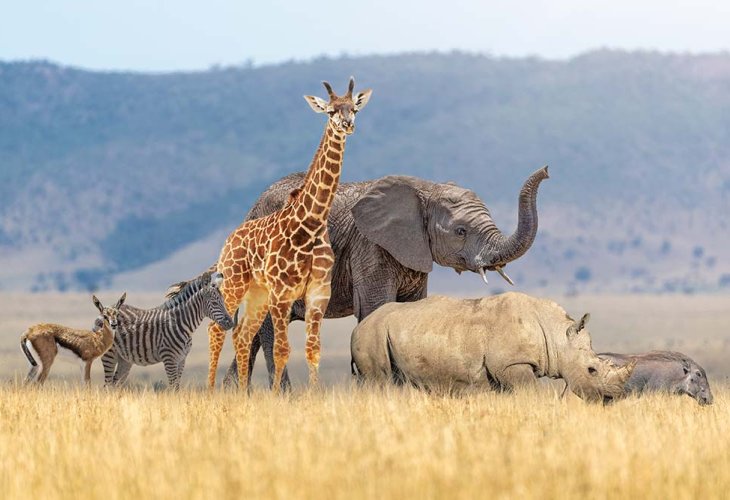 (Photo: shutterstock) (Photo: shutterstock)
