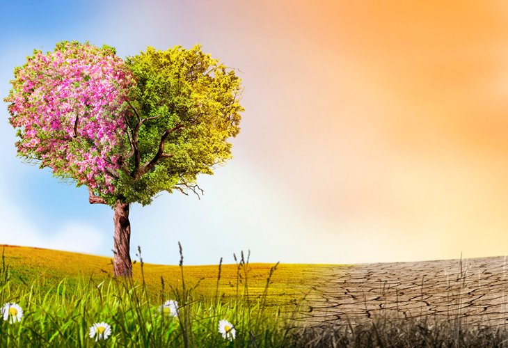 (Photo: shutterstock)
