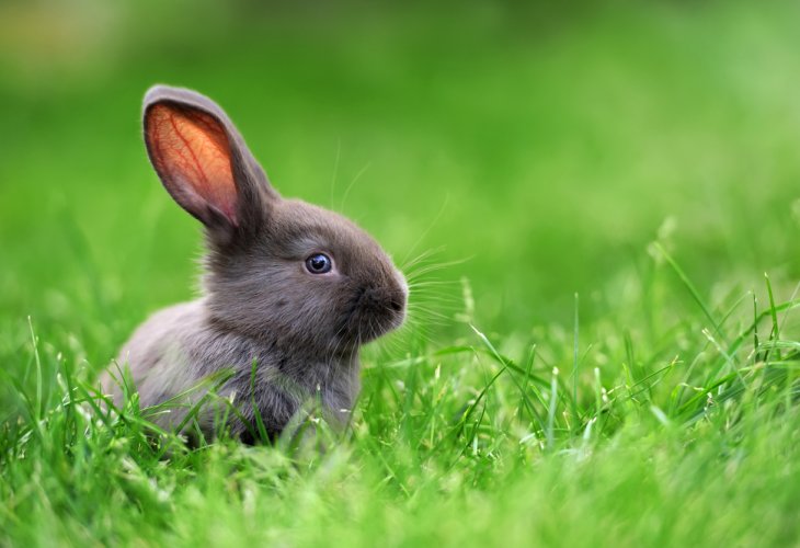(Photo: shutterstock) (Photo: shutterstock)